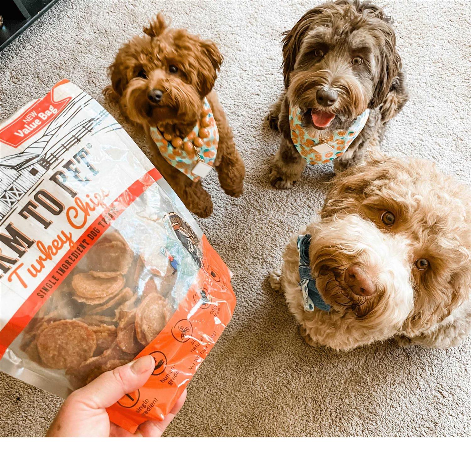 Farm to Pet Turkey Chips Dog Treats - Pet Supplies online store