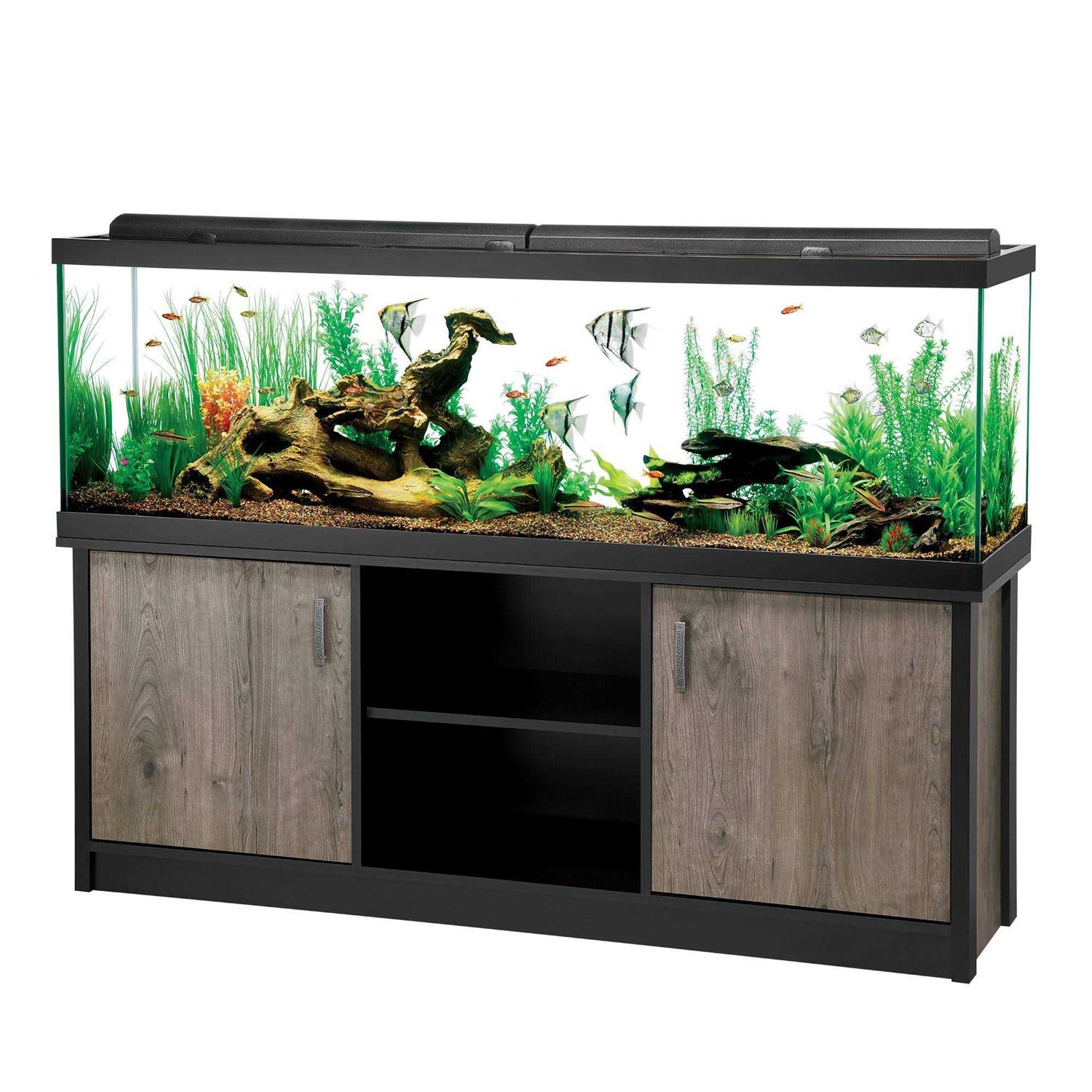 Aqueon LED Aquarium & Stand Ensemble -allon - Pet Supplies online store