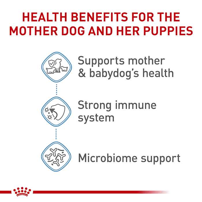 Royal Canin Small Starter Babydog & Mother Dry Dog Food - Pet Supplies online store