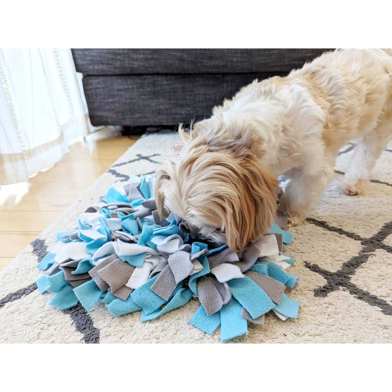 fouFIT Hide 'n Seek Snuffle Mat Dog Toys - Pet Supplies online store