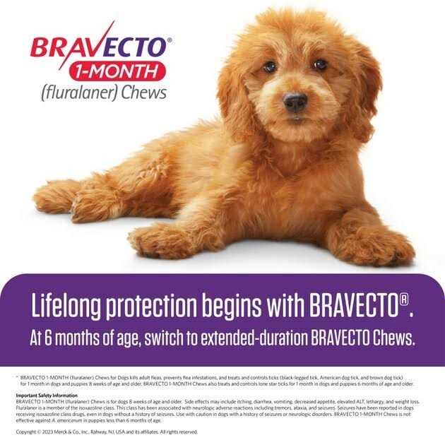 Bravecto 1-Month Chews for Dogs 22-44 lbs - Pet Supplies online store