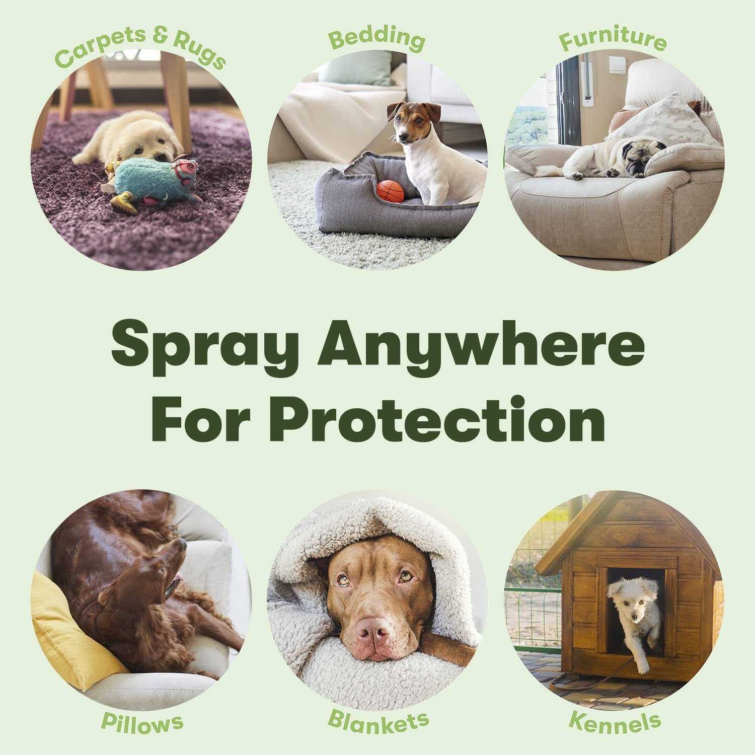 Bugmd Flea and Tick Concentrate Essential Oil-Powered Formula, Controls Fleas, Ticks, Mites in Dogs, Cats, and Other Furred - Pet Supplies online store