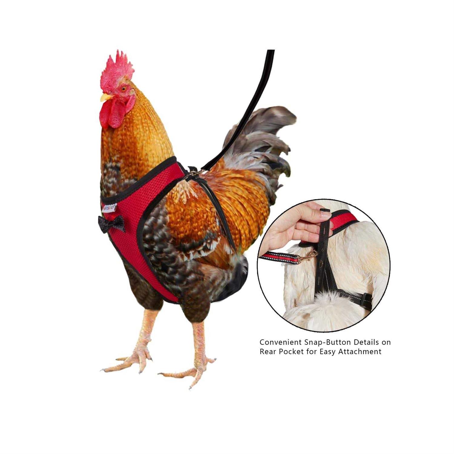Yesito Chicken Harness Hen Size with 6ft Matching Leash - Pet Supplies online store