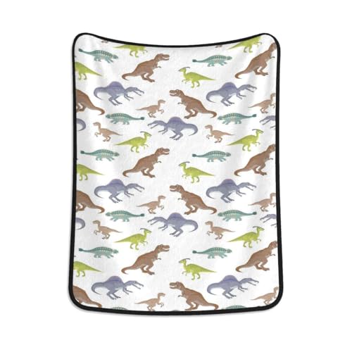 Teal White Decorative Throw Blankets for Couch Colorful Various Different Animals Throw Blanket Soft Comfortable for Sofa Chair Bed Office Dinosaur 40