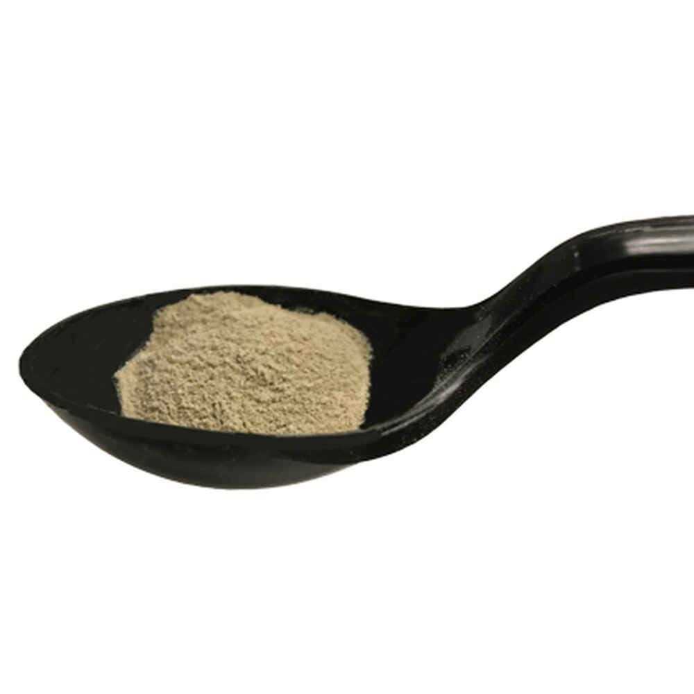 Advita Probiotic Nutritional Supplement for Cats - Pet Supplies online store