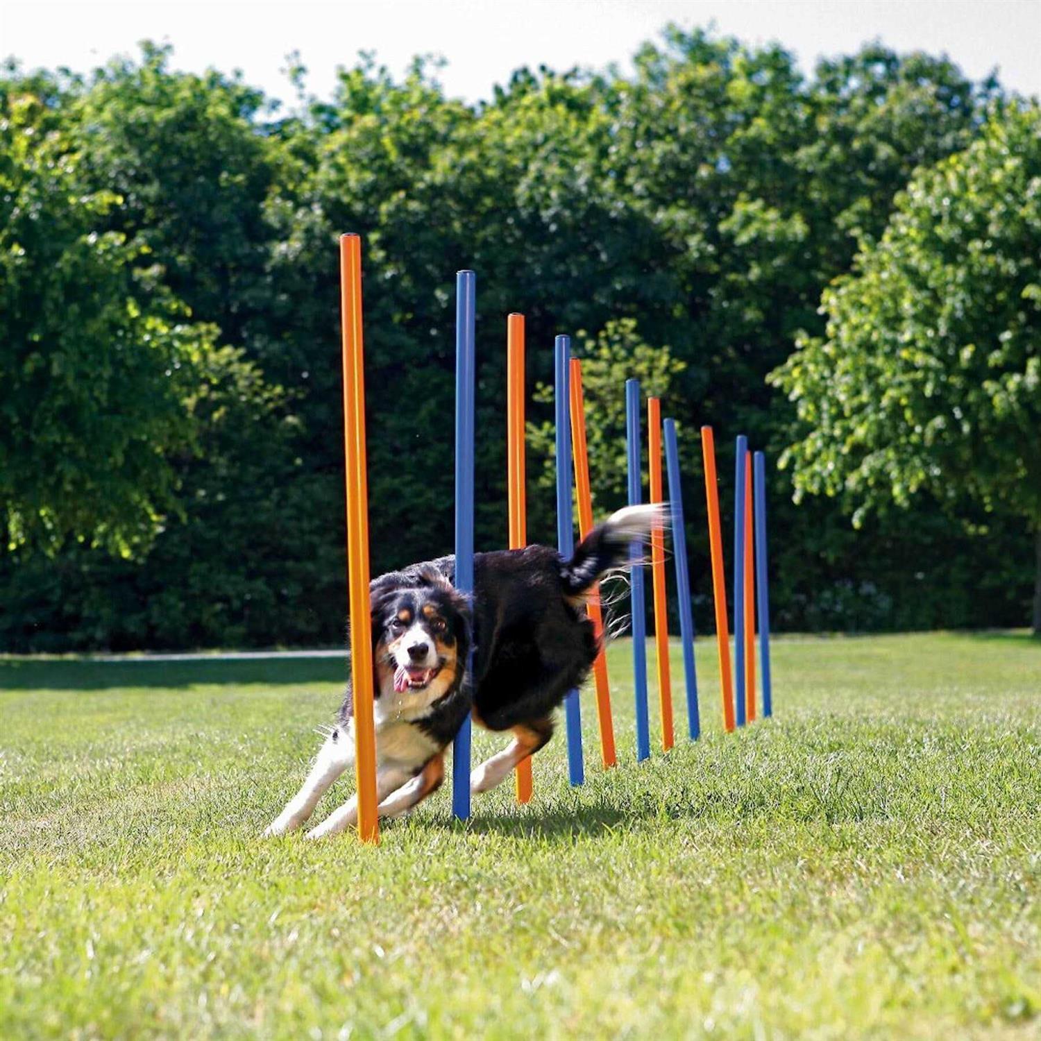 Trixie Agility Slalom Dog Training Poles - Pet Supplies online store