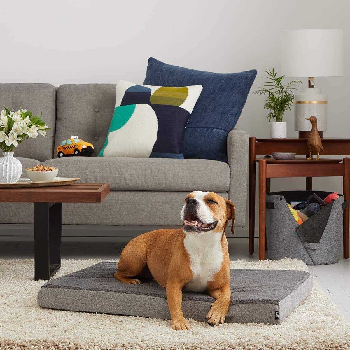 Barkbox Memory Foam Platform Dog Bed Plush Mattress for Orthopedic Joint Relief - Pet Supplies online store