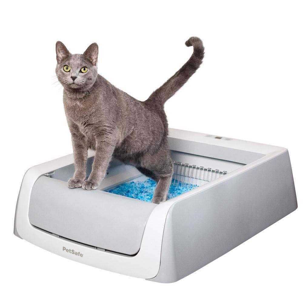PetSafe ScoopFree Self-Cleaning Cat Litter Box - Pet Supplies online store