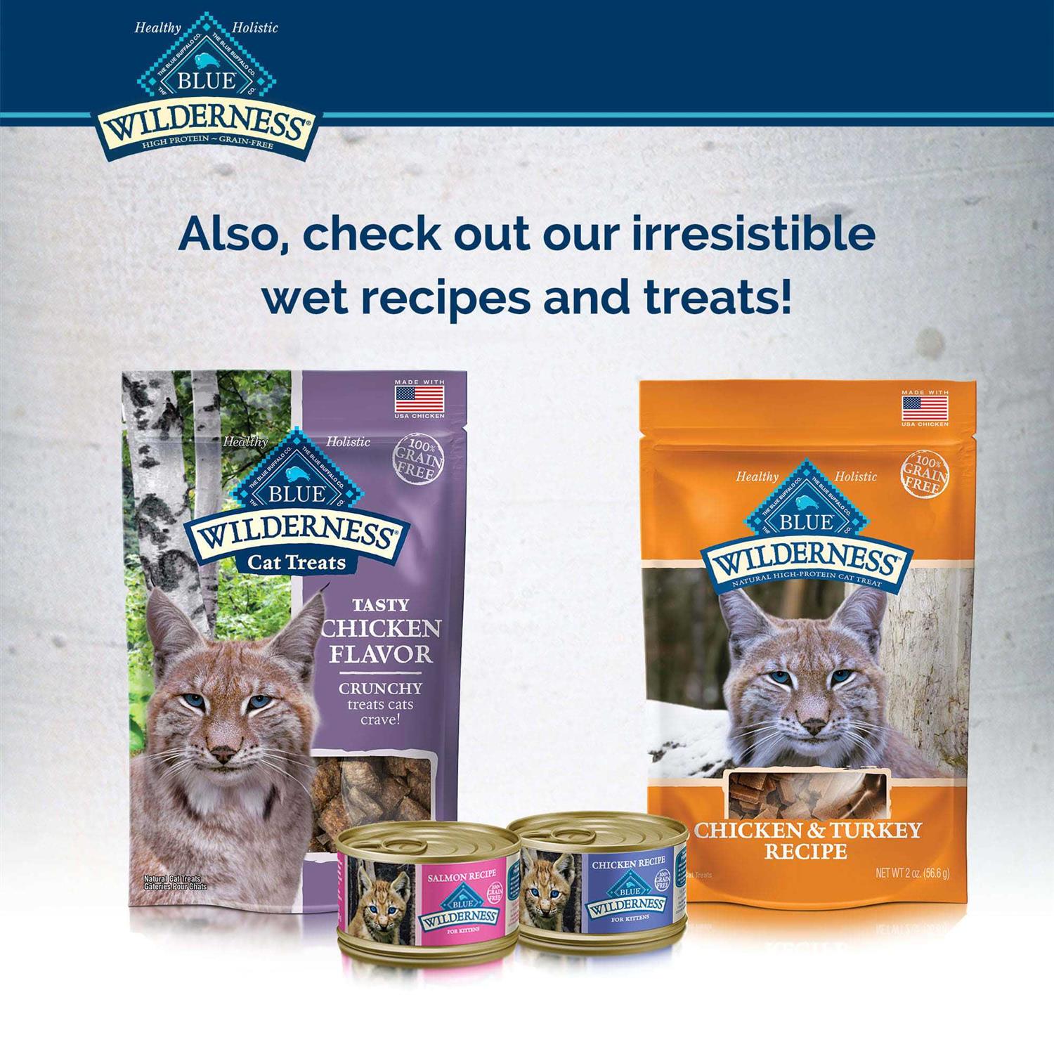 Blue Wilderness Kitten Dry Food - Pet Supplies online store