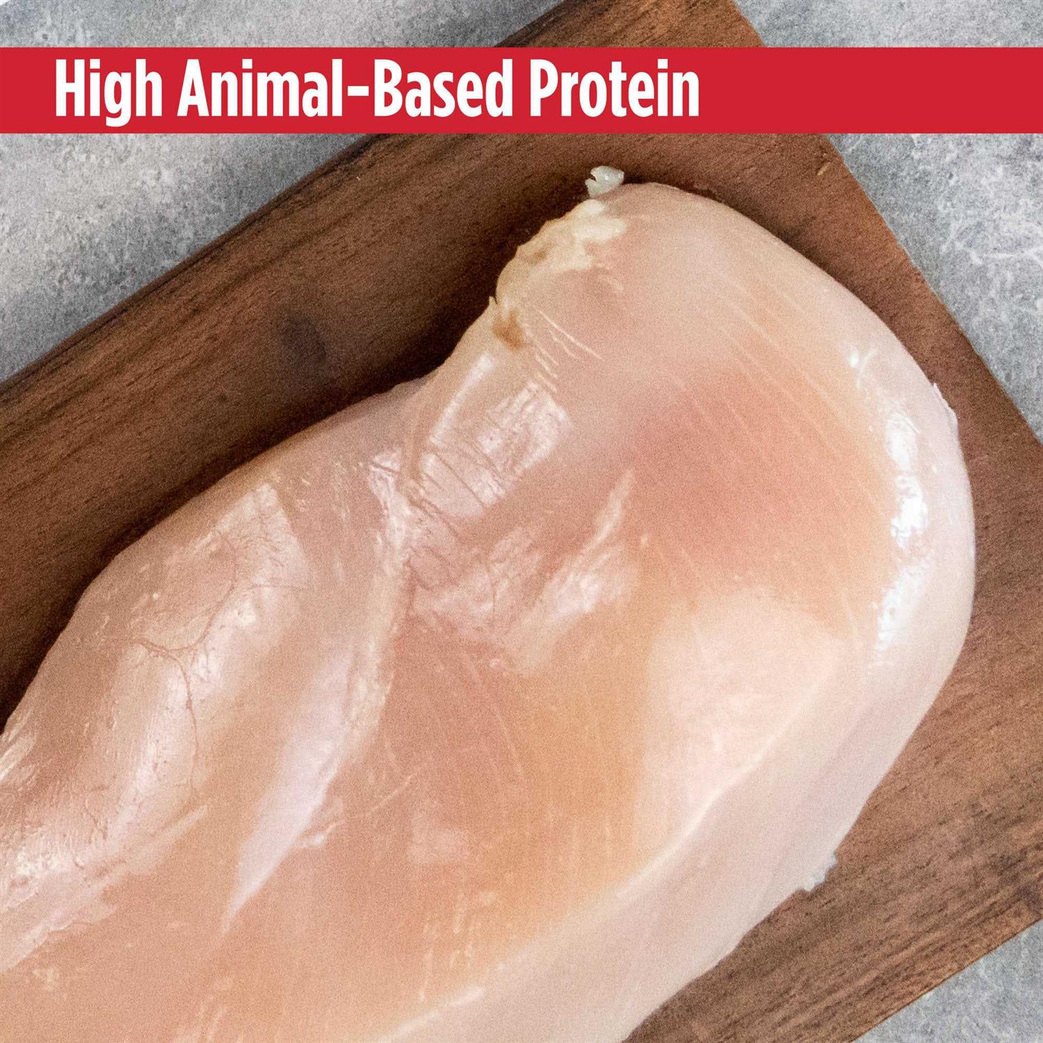 Nulo MedalSeries Puppy & Adult Dog Food Grain Free Limited Ingredient Turkey - Pet Supplies online store