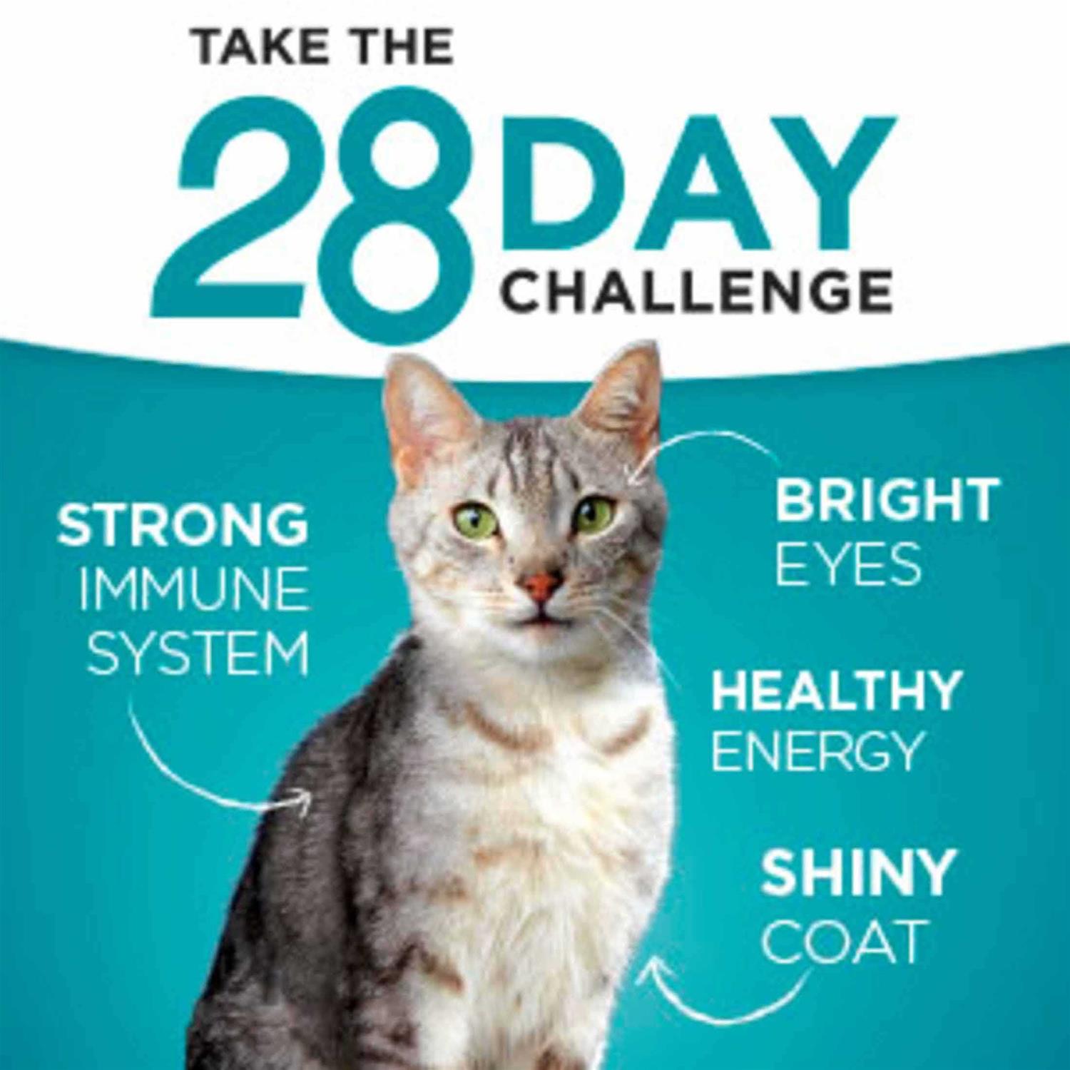 Purina One Indoor Advantage Natural Cat Food Ocean Whitefish & Rice - Pet Supplies online store