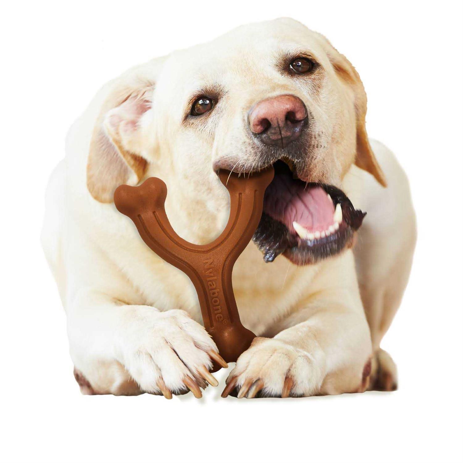 Nylabone Chew Wishbone Power Chew Dog Toy - Pet Supplies online store