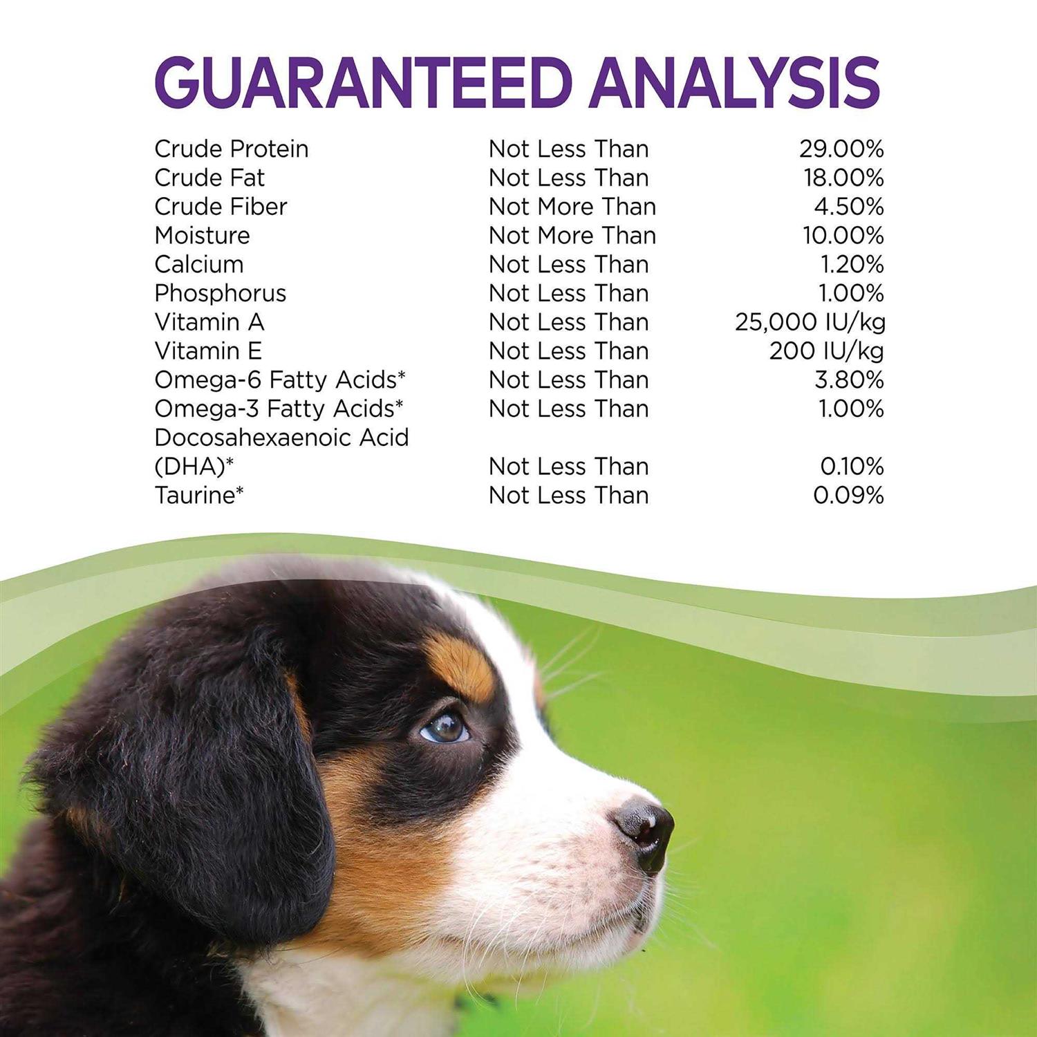 Wellness Complete Health Puppy Food Chicken - Pet Supplies online store