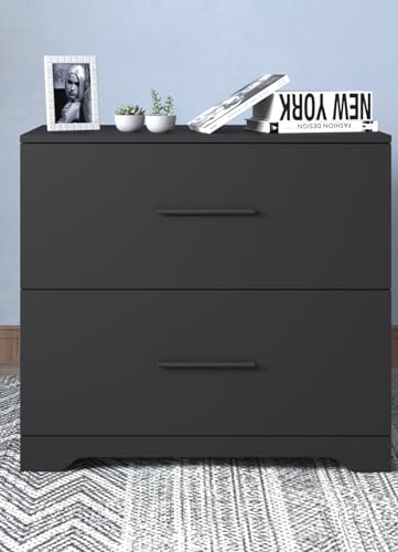 2 Drawer Lateral File Cabinet Metal Filing Cabinet, 27.5''Hx30.3''Wx16.5''D Functional Accent Chest Large Deep Drawer Document Storage for Home Office