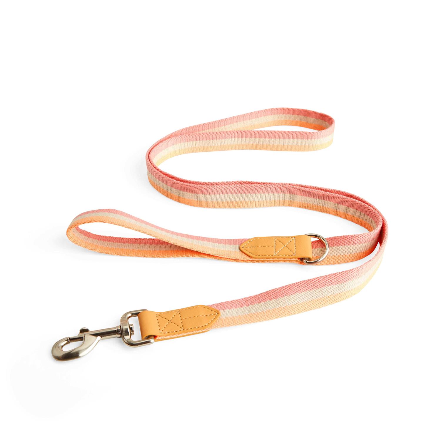 YOULY Creamsicle Dog Leash - Pet Supplies online store