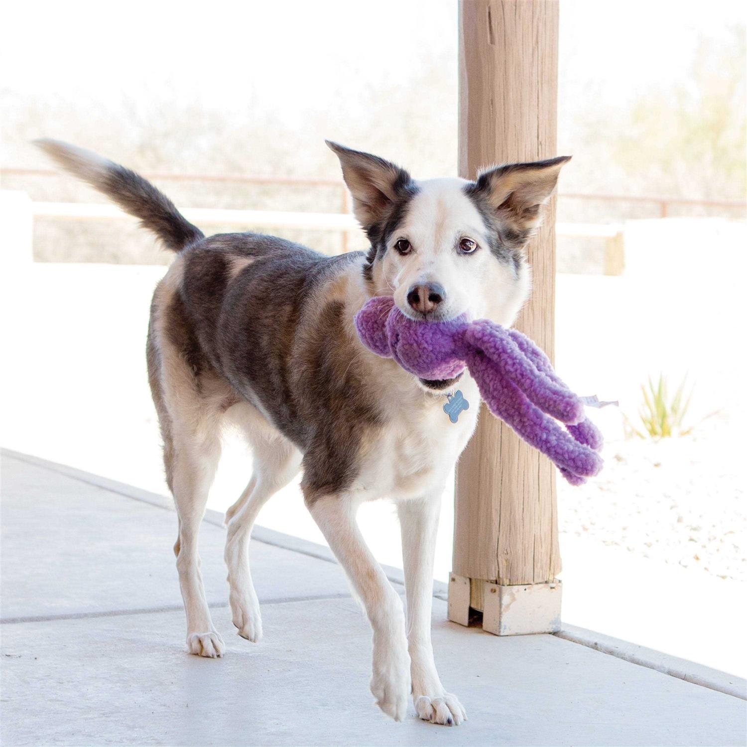 KONG Snugga Wubba Dog Toy - Pet Supplies online store