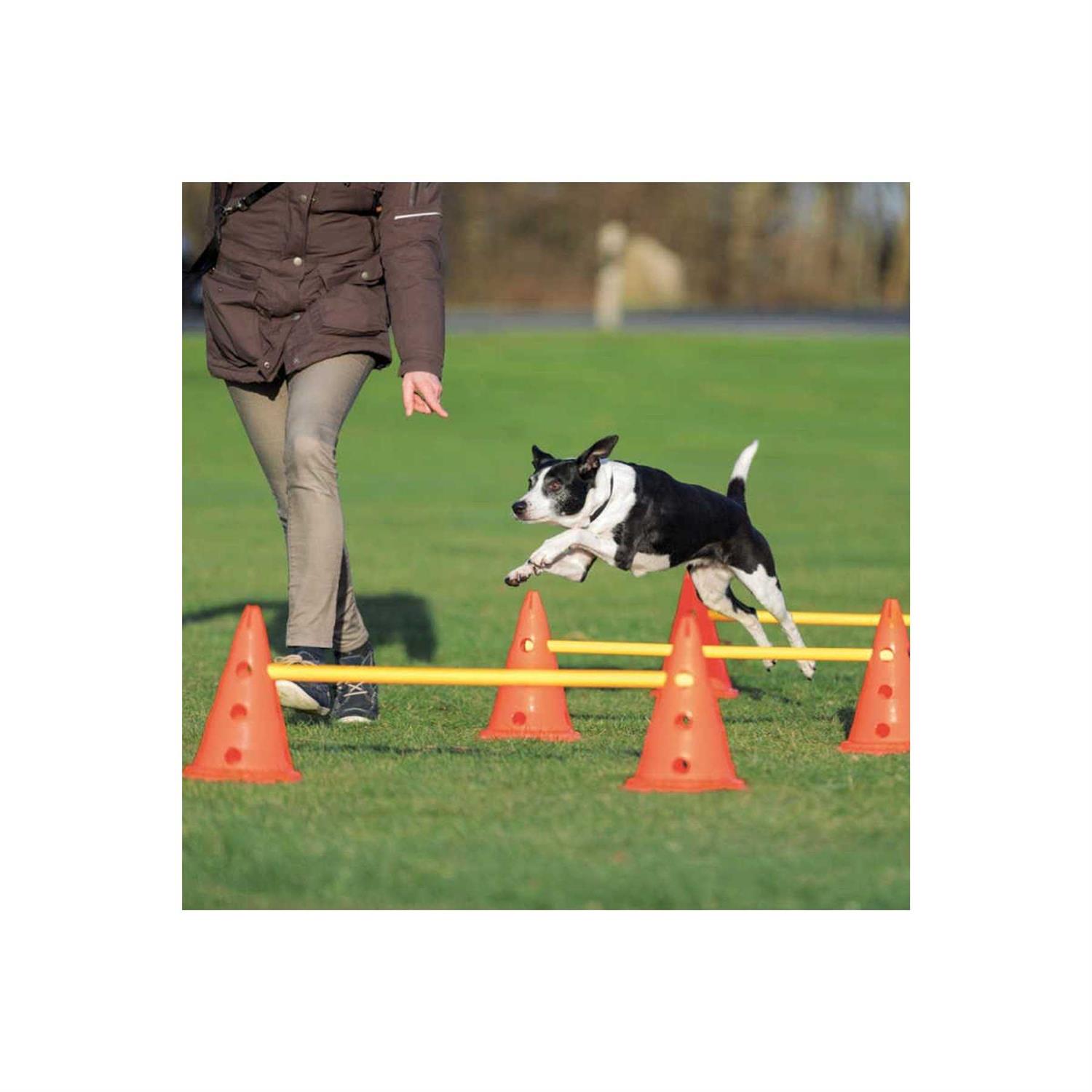 Trixie Dog Agility Hurdle Cone Set - Pet Supplies online store