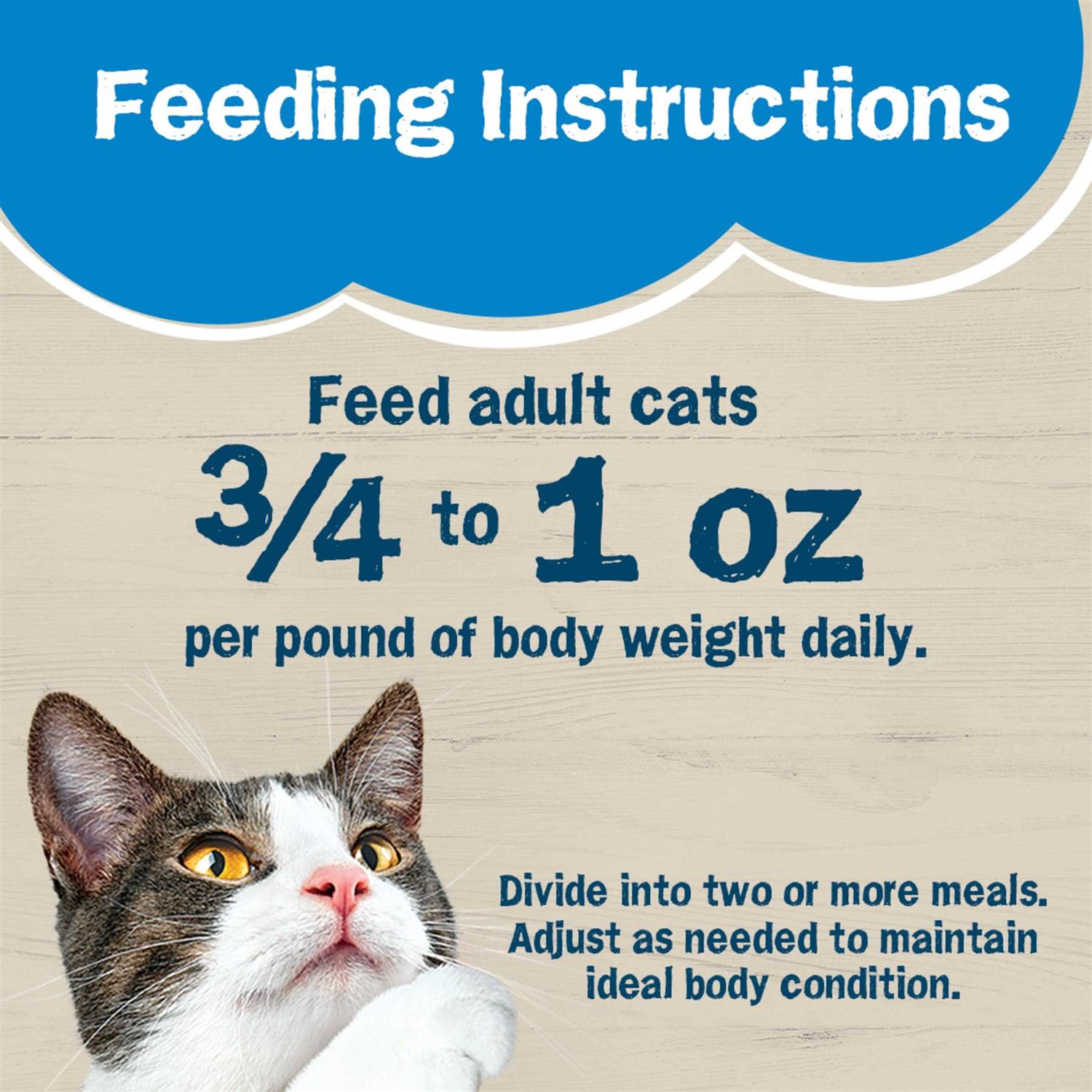 Purina Friskies Wet Cat Food Ocean Favorites - Pet Supplies online store