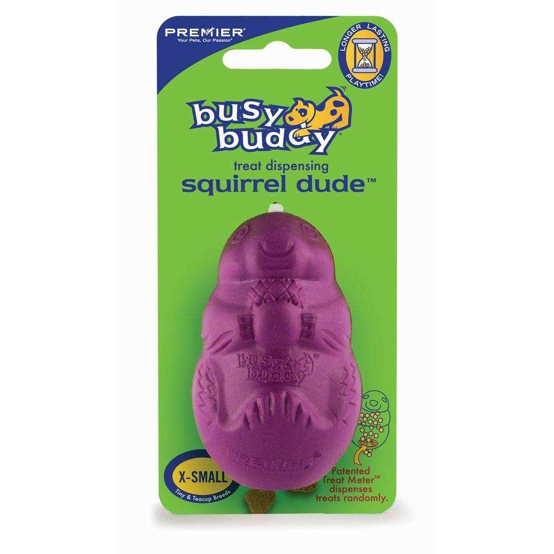 Busy Buddy Squirrel Dude Dog Toy - Pet Supplies online store