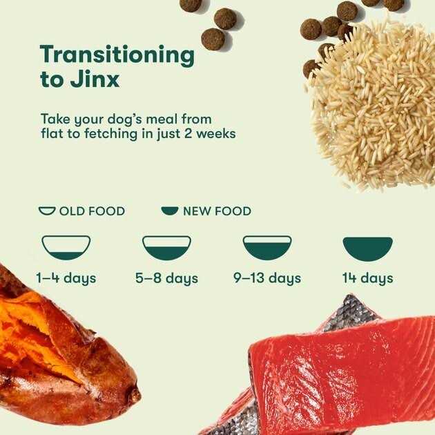 Jinx Salmon Brown Rice & Sweet Potato Dry Dog Food - Pet Supplies online store