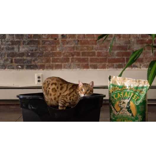 Catalyst Cat Litter Soft Wood - Pet Supplies online store