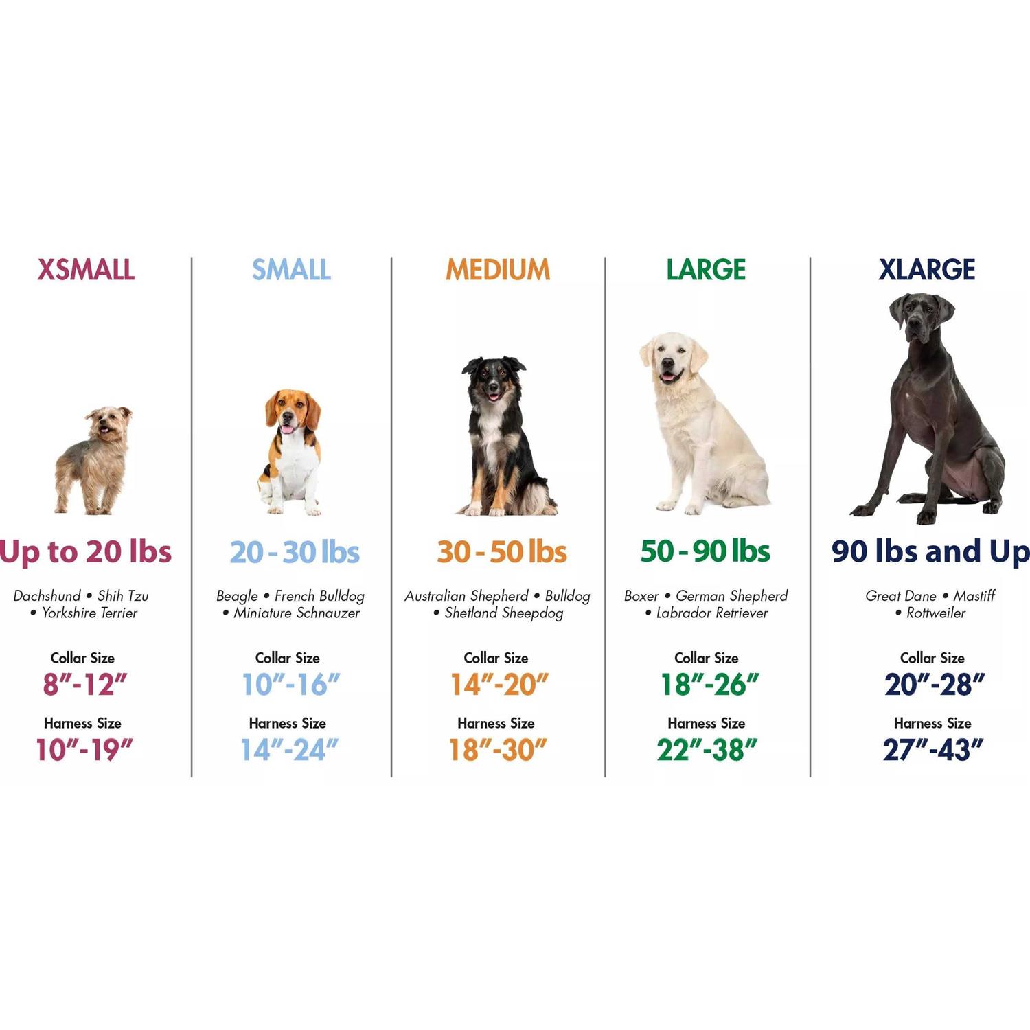 Coastal Pet Macho Dog Double-Ply Nylon Collar with Roller Buckle 1.75 Wide Black - Pet Supplies online store