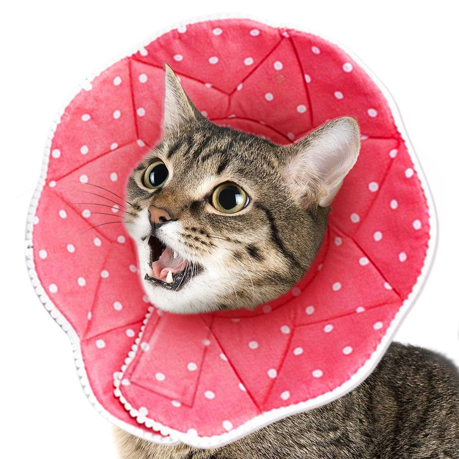 Sungrow Soft e Collar for Small Dogs & Cats After Surgery Recovery Cone to Stop Licking - Pet Supplies online store