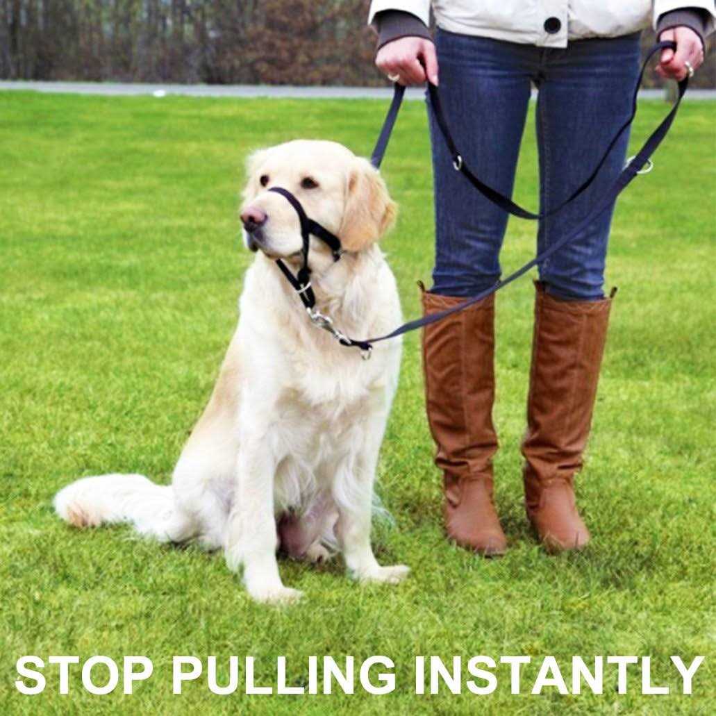Barkless Dog Head Collar No Pull Training Tool for Dogs on Walks - Pet Supplies online store