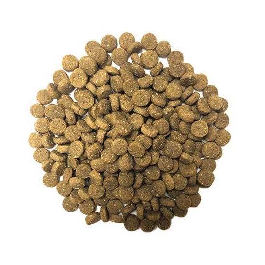 Muenster Ancient Grains with Ocean Fish Dog Food - Pet Supplies online store