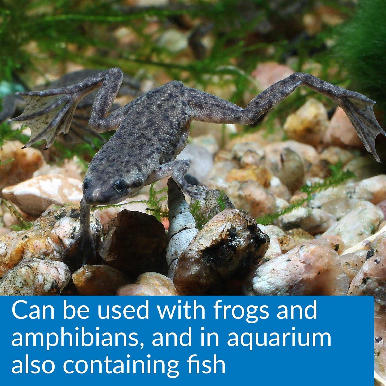 API Turtle Fix - Pet Supplies online store