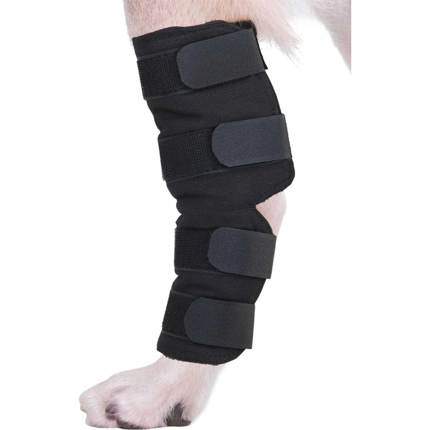 Agon canine Dog Hock Brace Rear Leg Joint Wrap Protects Wounds as They Heal, compression Wrap, Heals and Prevents Injuries and Sprains Helps - Pet Supplies online store