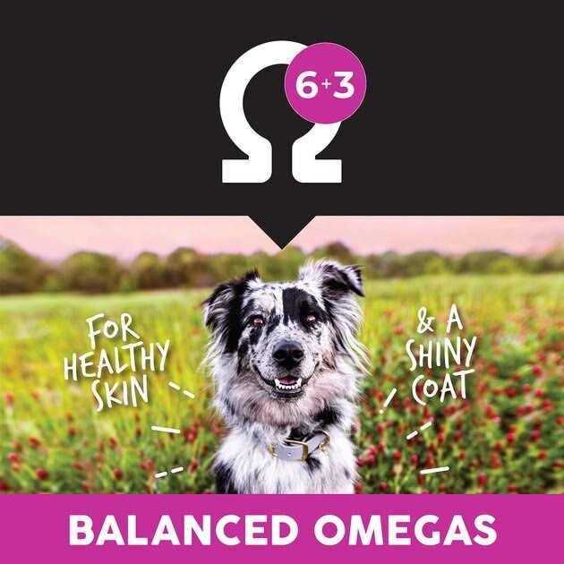 Ultimates Lamb Meal & Rice Dry Dog Food - Pet Supplies online store