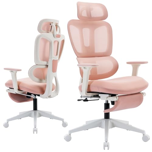 Ergonomic Office Chair with Foot Rest, High Back Computer Office Chair with Dynamic Lumbar Support, 2D Headrest, 4D Armrest, Sponge Seat, Mesh Home Office Desk Chair for Adults, Black