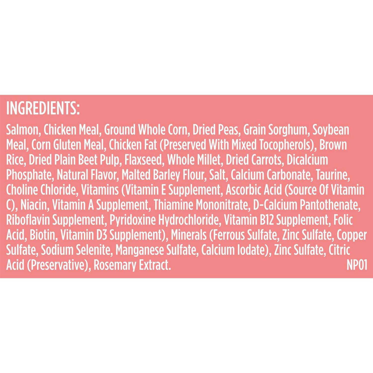 Rachael Ray Nutrish Salmon Veggies & Brown Recipe Dry Dog Food - Pet Supplies online store