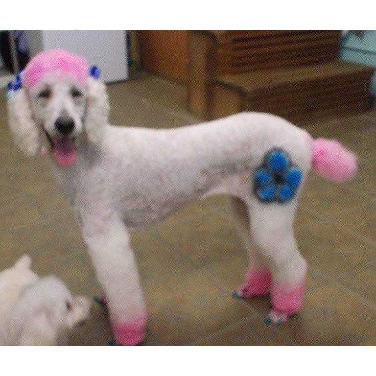 Warren London Critter Color - Pet Supplies online store