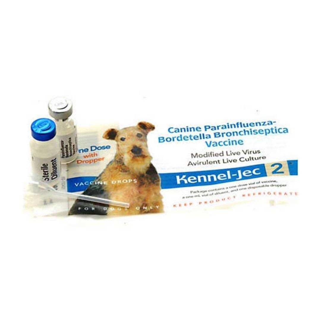 Durvet Kennel-Jec 2 Intra-Nasal - Pet Supplies online store