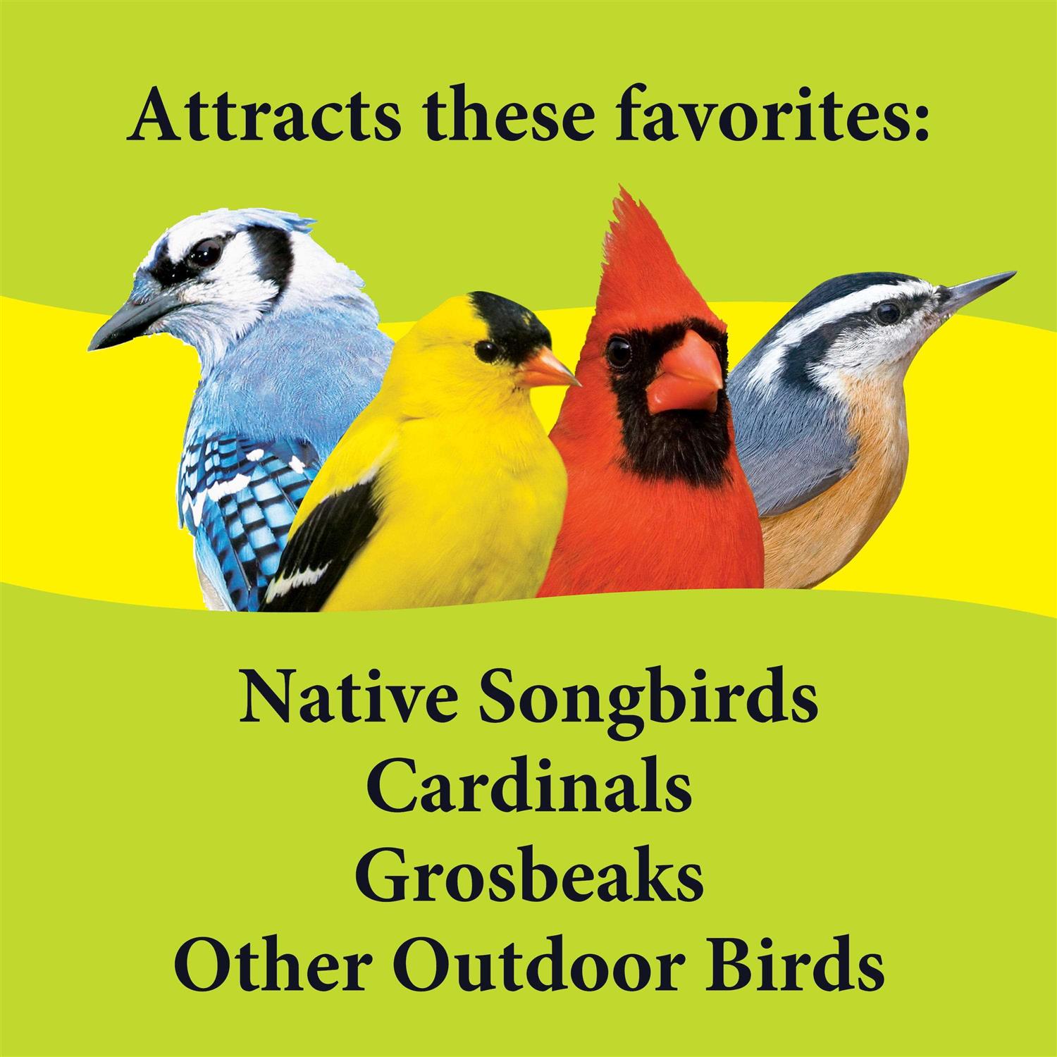 3-d Pet Products Deck Porch Patio Blend Wild Bird Food - Pet Supplies online store