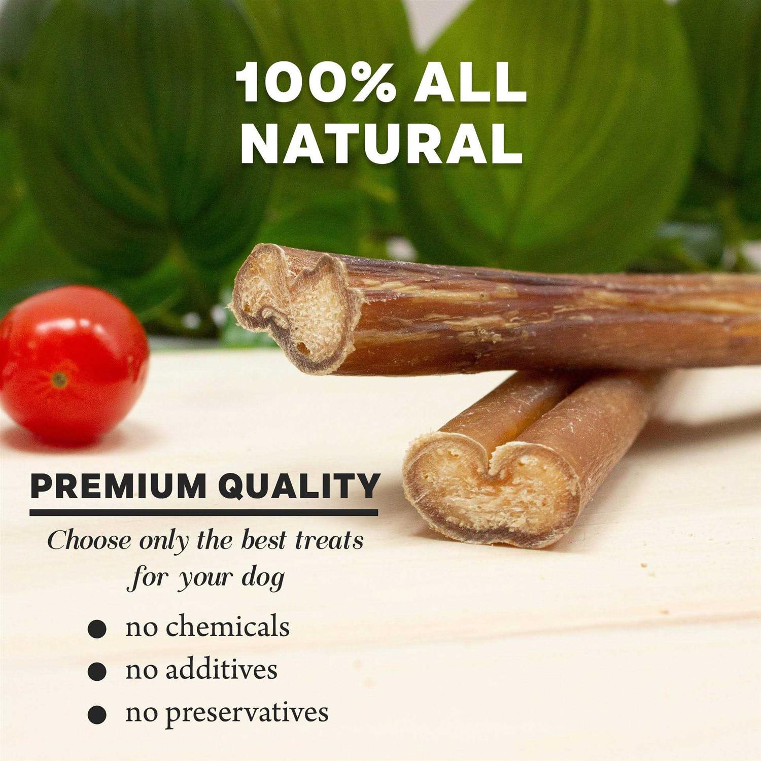 Downtown Pet Supply Bully Sticks Dogs - Pet Supplies online store