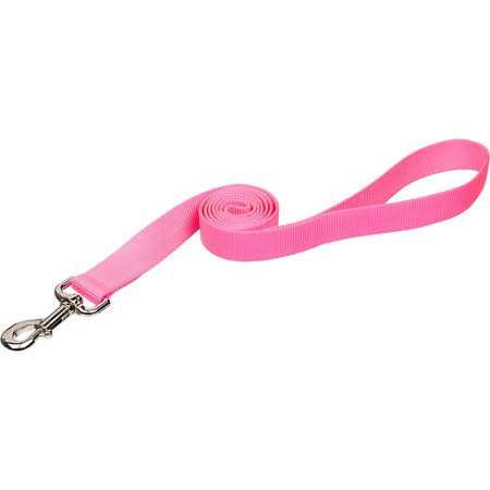 You & Me Exercise Saucer - Pet Supplies online store