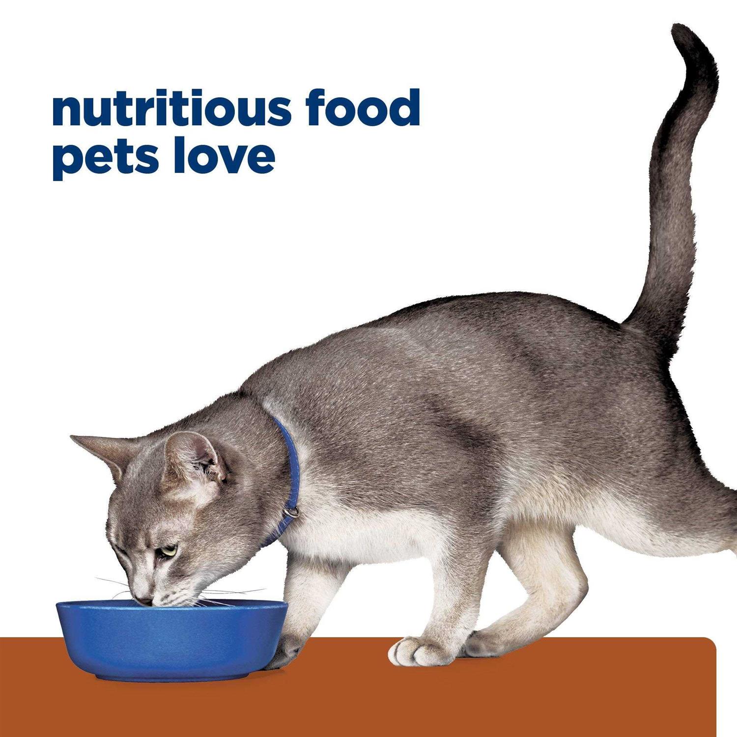 Prescription Diet k/d Kidney Care Cat Dry Food - Pet Supplies online store