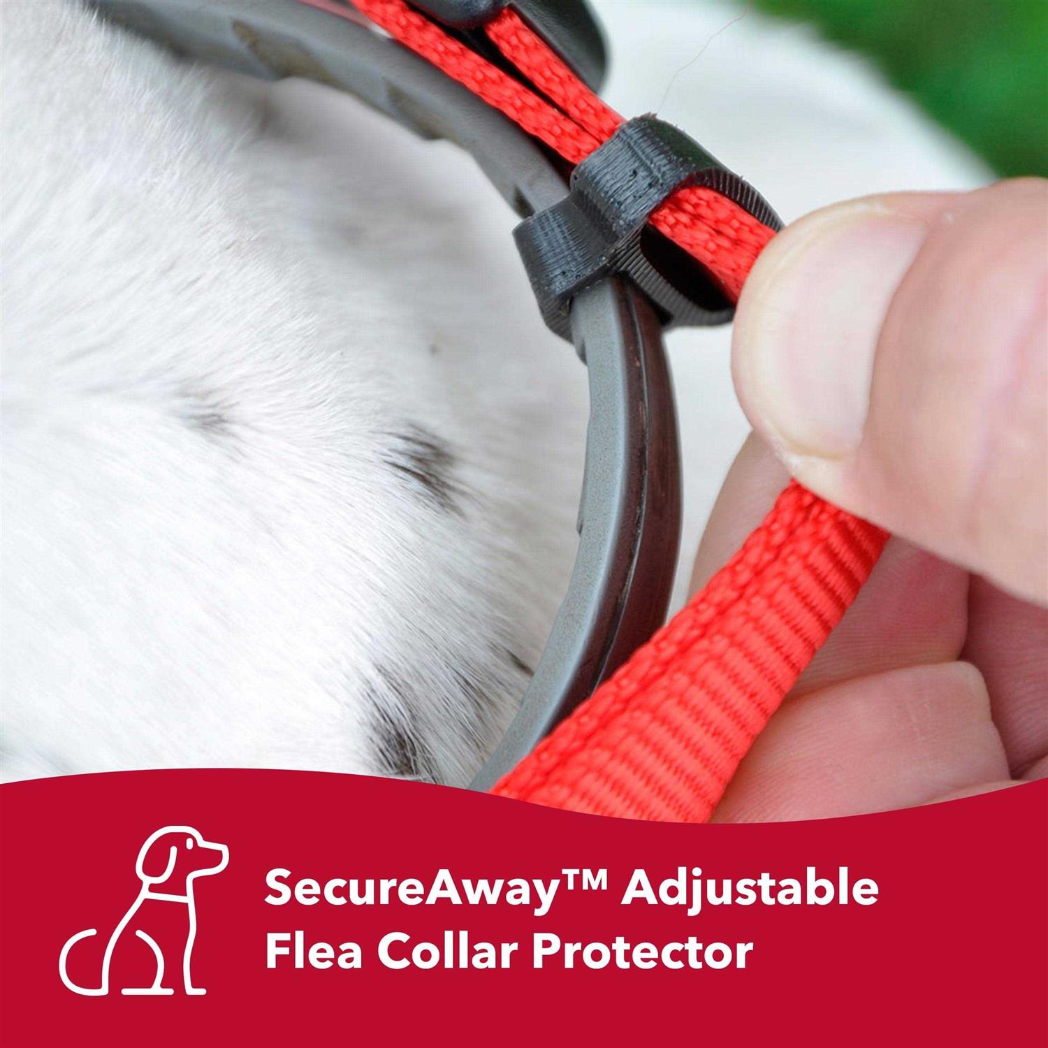 Coastal Hideaway Flea Collar Protector - Pet Supplies online store