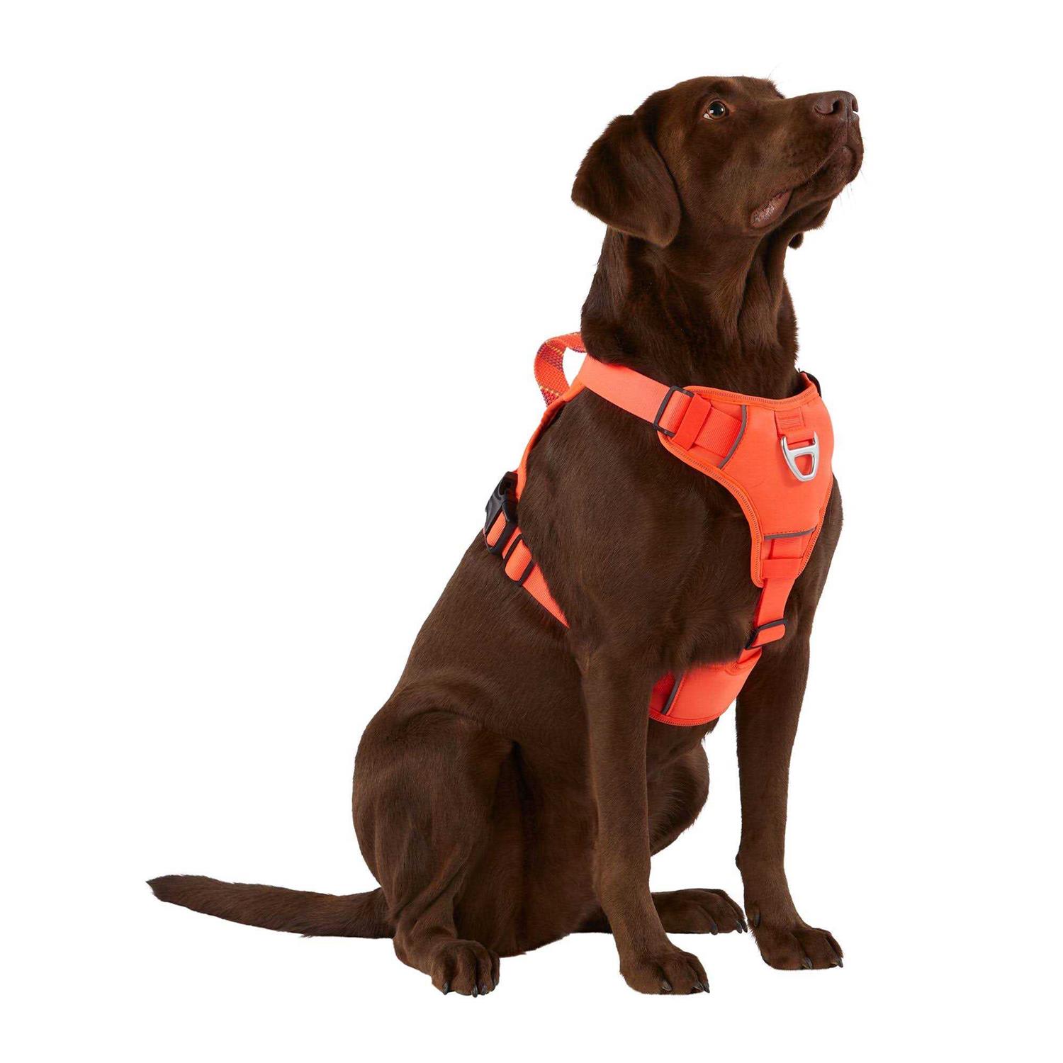 Arcadia Trail Neoprene Dog Harness - Pet Supplies online store