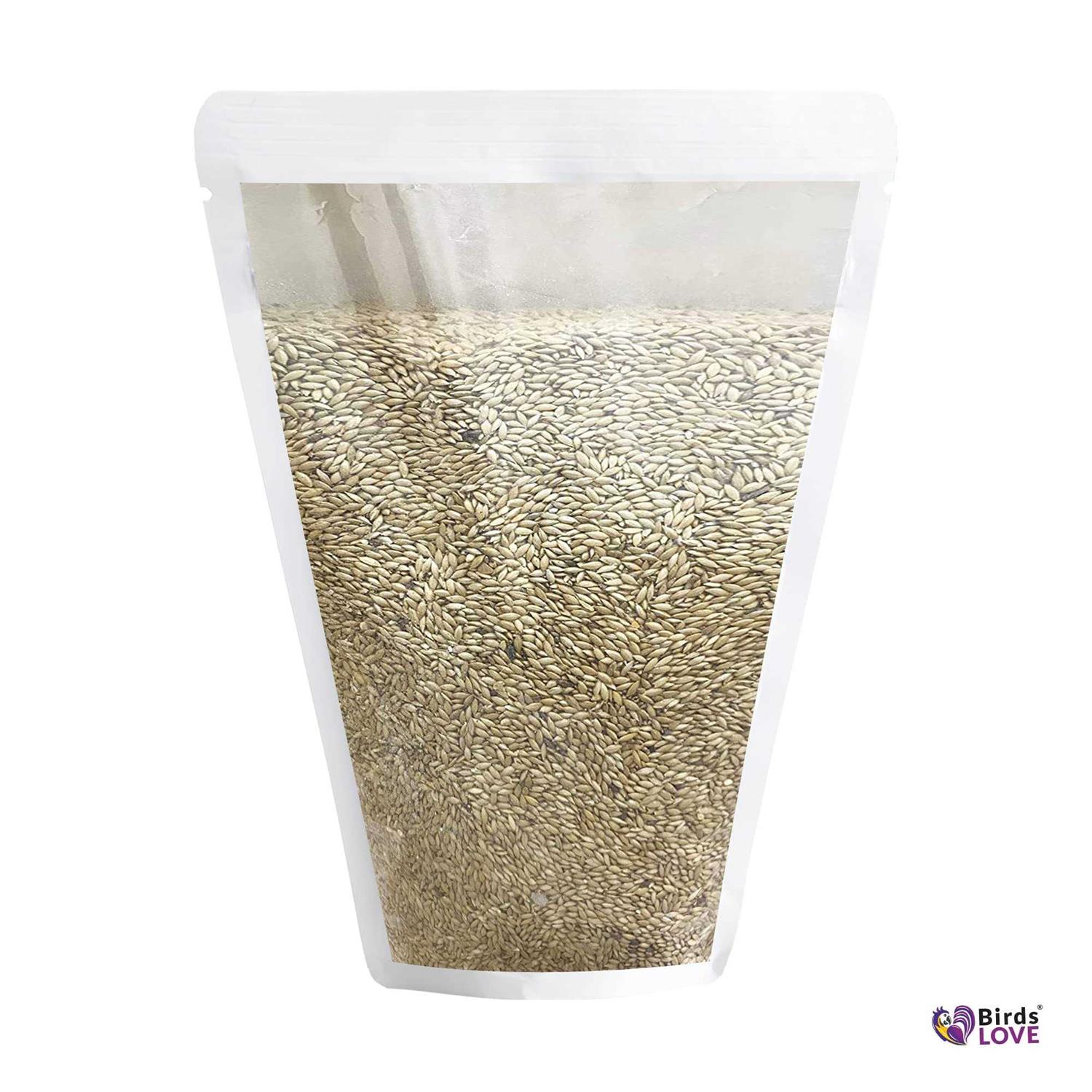 Birds LOVE Alpiste 100% Non-GMO Double Cleaned Canary Seed for Canaries and Finch Birds with No Fillers or Additives - Pet Supplies online store