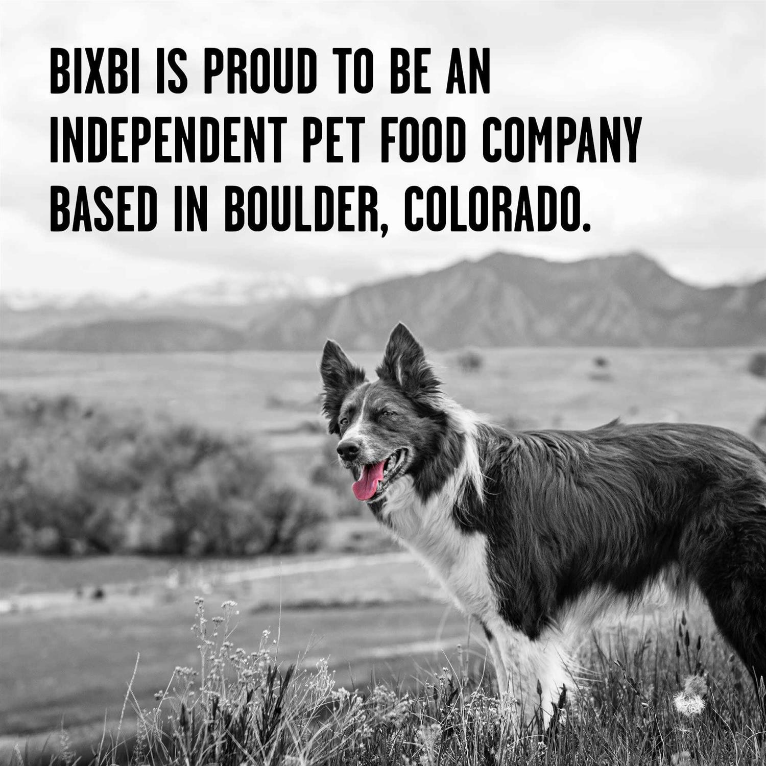 Bixbi Rawbble Chicken Freeze-Dried Dog Food - Pet Supplies online store