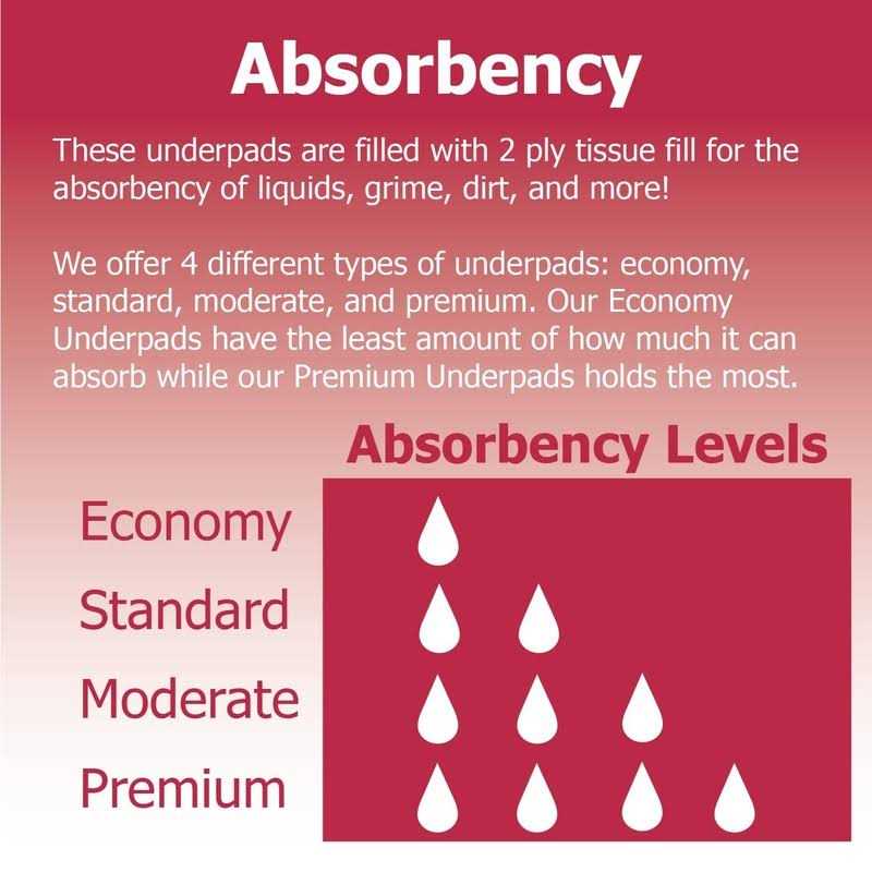 Dealmed Economy Absorbency Disposable Underpads 2-Ply Tissue Fill 17 X 24” - Pet Supplies online store