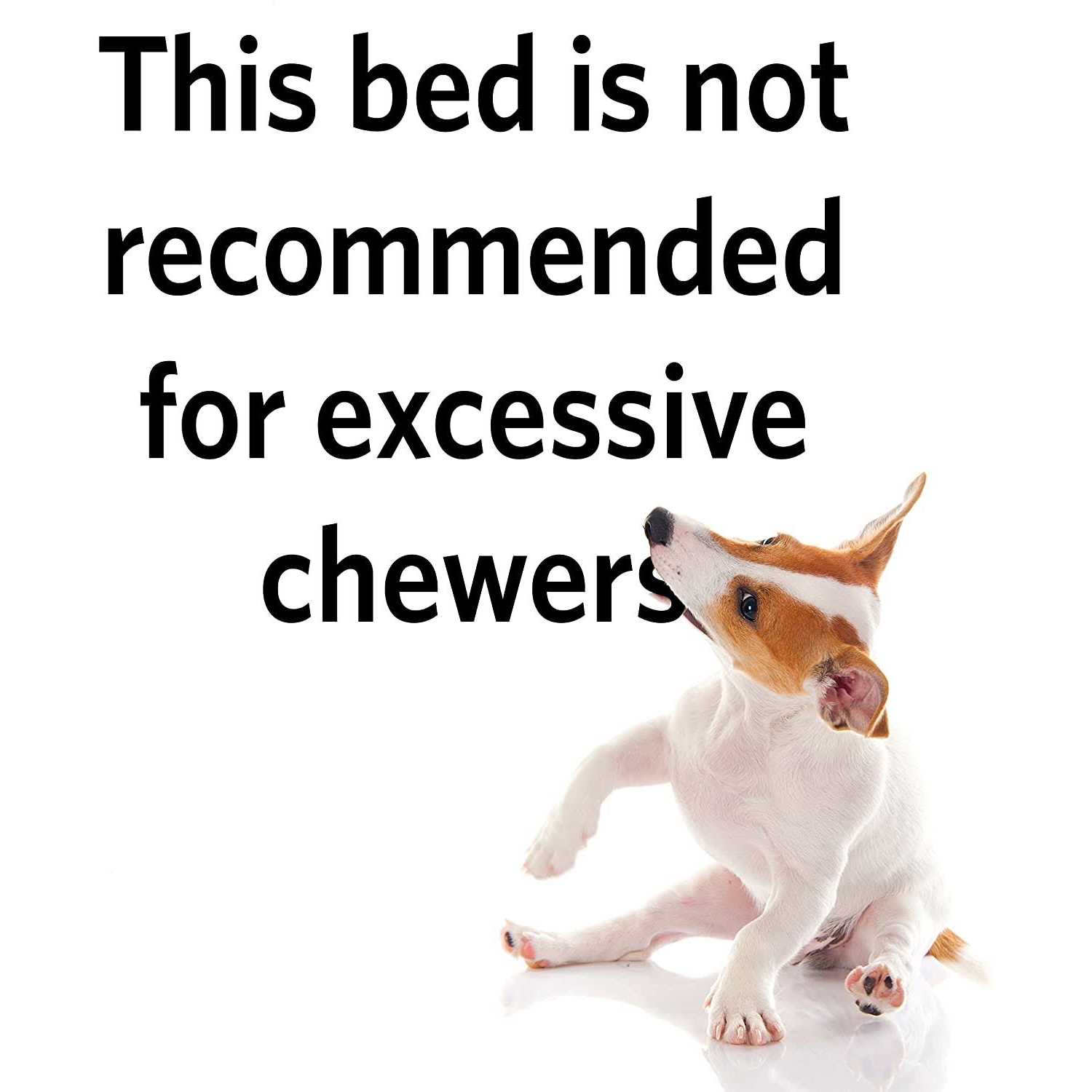 Quiet Time Maxx Pet Bed - Pet Supplies online store