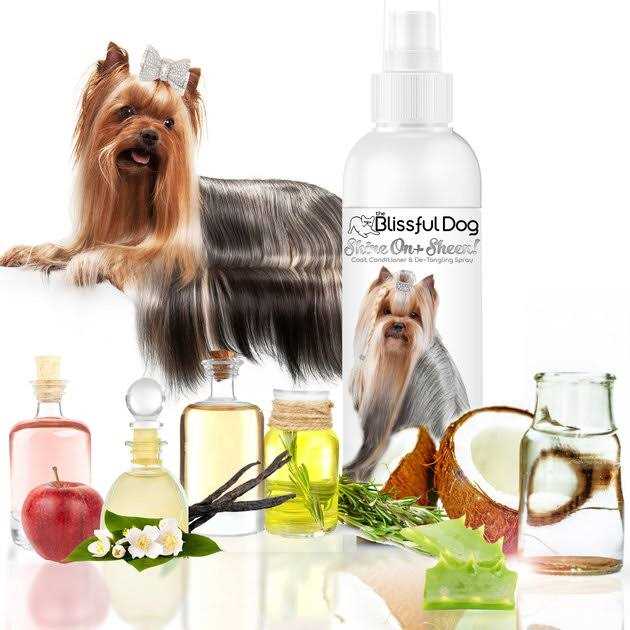 The Blissful Dog Shine-On + Sheen Coat Spray, All Natural, Leave-in Conditioner and Coat Detangler for Your Dog - Pet Supplies online store
