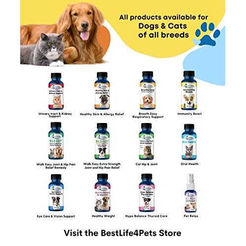 Bestlife4pets All-Natural Healthy Skin and Allergy Relief For Cats - Pet Supplies online store