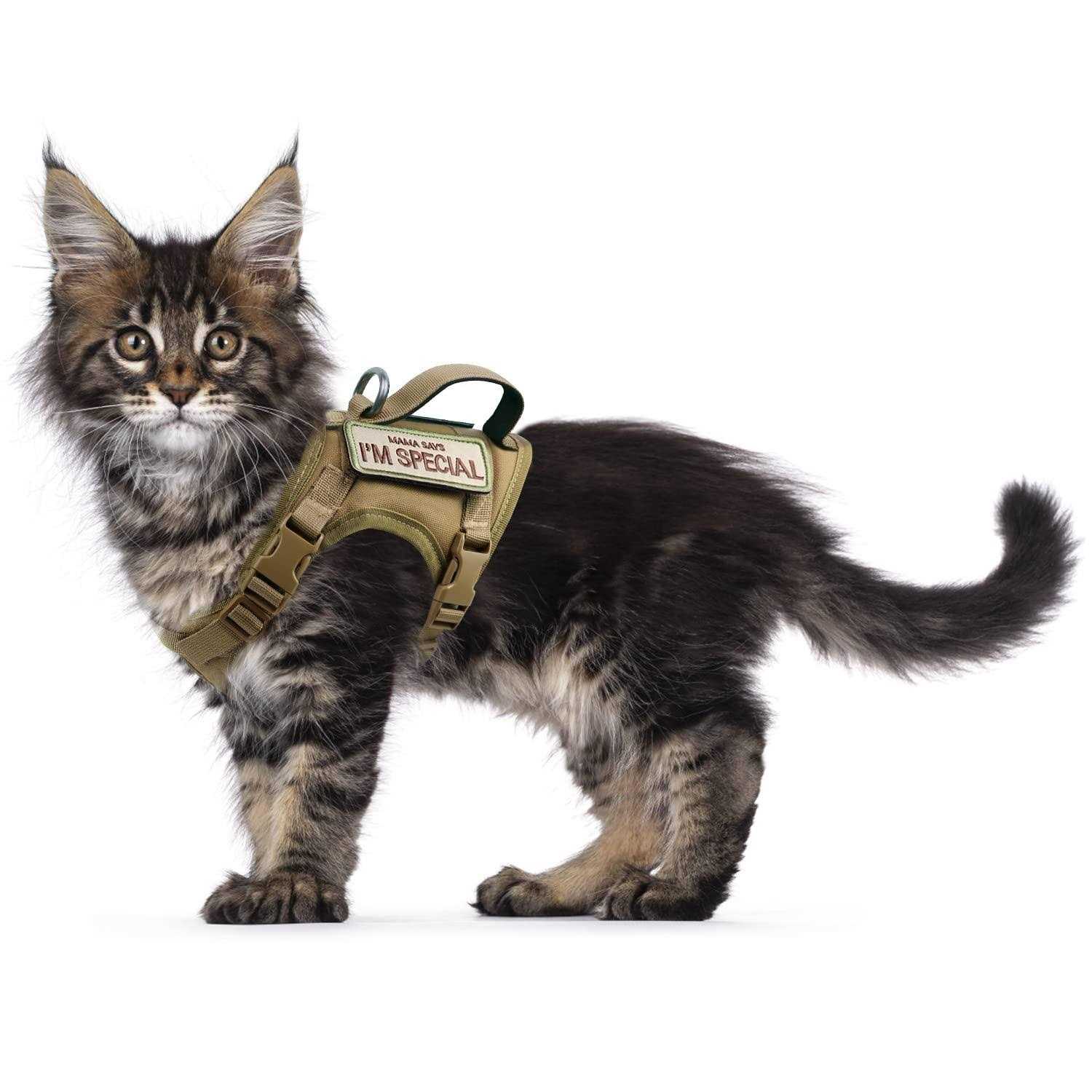augopapa Tactical Cat Harness for Walking Escape Proof Soft Mesh Adjustable Pet Vest Harness - Pet Supplies online store
