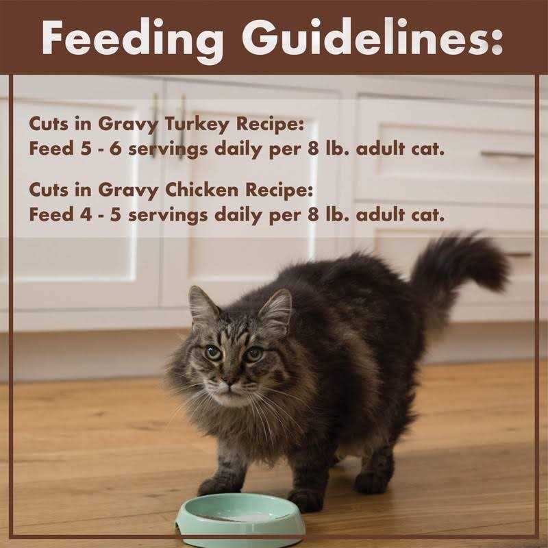 Nutro Perfect Portions Grain Free Cuts in Gravy Turkey Wet Cat Food - Pet Supplies online store
